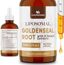 Goldenseal Root Extract 3000mg pro imunitní a respirační wellness - rychlé absorbování 124; bez cukru 124; Vegan 124; 4 Fl Oz
