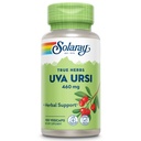 SOLARAY Uva Ursi Leaf 460 mg iž