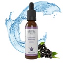 Pohřbené poklady Lymfatické Harmony Drops - 2oz, 30 Služební, Lymfatický dodatek s Cleavers, Burdock, Echinacea, a Astragalus