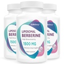 Berberine HCL dodatek 1500mg - Vysoká biologická dostupnost Lipozomální Berberine kapsle pro ženy a muže, AMPK Activator pro kardiovaskulární zdraví, Sugar- Free, Non- GMO, 180 Softgels