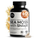 Atlantic Naturals Sea Moss and Shilajit Capsules - 5- in-1 Seamoss Shilajit Combo with Bladderwrack, Burdock Root & Black Pepper - Moss Moss doplňky pro absorpci a vitalitu - 2705 mg - 60 Počet