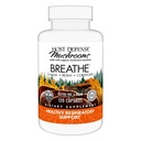 Hostitel Defense Dech * Kapsle - Imunitní a respirační podpora Houbový dodatek - Bylinný Lung Zdravotní dodatek s Chaga, Reishi & Cordyceps - 120 Kapsle (60 Služeb) *