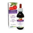 Naturalma Acerola (Malpighia glabra) Ovocné alkoholy zdarma tinktura - bohaté na vitamín C - 4 fl oz tekutý extrakt v kapkách - Bylinný dodatek - Vegan