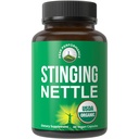 USDA Organické žihadlo Nettle Vegan Kapsle Vyrobeno se štípající kopřivka Leaf prášek pro prostatu, růst vlasů, alergie. Lepší než Root nebo Seed Extract. Plant Based Herb Dodatek Tablety, 60 pilulky