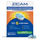 Zicam Cold & Flu- Like Symptomy s Echinacea a Sambucus, Homeopatický, Zinek, Chlazení mátové aroma, Pomáhá se studenými příznaky, 20 tablet