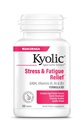 Kyolic Aged Česnek Extract Formule 101, Stres a Únava Relief, 100 Tablet.