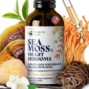 Happy FOX Irish Moss Liquid Kapky & Houba Tinktura - Seamoss se 7 Adaptogenní houby Extrakty pro kognitivní podporu & Gut zdraví, Houba kávy Elixir, Čistá Vanilla Flavor