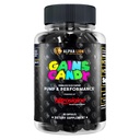 ALPHA LION Gains Candy, Doplněk pilulky pro svalovou pumpu a krevní tok, Oxidový booster nitric, Podporuje duševní soustředění, Použití denní upgrade cvičení výkon, 63 Kapsle (Nitrosigine)