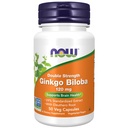 Nyní Potraviny doplňky, Ginkgo Biloba 120 mg, dvojité síly, non-GMO projekt ověřen, 50 Veg kapsle
