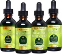 Přejít Nutrients Cold & Imunitary Bundle - Selen, Vitamin D3 / K2, imunitní booster, tekutý chlorofyl - Výkonná podpora imunitního systému, Posílit tělo obrany, jádro a vitalita, Respirace