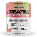 Cellucor Creatin Powder, Vodní meloun Flavor - Zvyšuje sílu, Lean Muscle Mass & Endurance, Mikronizovaný Creatin pro rychlou absorpci, 5g Creatin per Serving, 50 Služeb