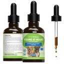 Pet Wellbeing Young at Heart for Dogs - Zdraví srdce, oběhové a kardiovaskulární systém, Hawthorn, Motherwort, Schisandra - Veterinární Bylinný dodatek 2 fl oz (59 ml)