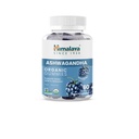 Himalaya Ashwagandha Organic Gummies, KSM- 66 Organic Ashwagandha na pomoc se Stress Relief, Energie a relaxace, 60 Gummies s Delicious BlackBerry Flavor