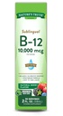 Nature 's Truth Sublingual Vitamin B-12 10 000 Mcg, rychle působící tekutý, přírodní Berry Flavor, 2 tekuté Ounce (balení po 1)