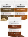 Real Houby Peak Performance Bundle - Lion 's Mane + Reishi + Cordyceps- M Certified Organic Mushroom Powders for Vitality, Immunity & Longevity