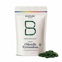 BioPure Chlorella Pyrenoidosa - 100% organické, Cracked- Cell Wall, Nutraceutical Superfood Balený s bílkovinami, vitamíny, minerály a aminokyseliny, které podporují metabolismus, detox & imunita - 400 Tablety