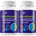 300 miliard AFU Akkermansia Probiotic pro ženy a muže, Akkermansia Muciniphila pro více GLP-1 produkce, stravovací, Gut & Imunity, Gut Digestive Lining Function, 120 Počet