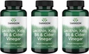 Swanson Lecithin Kelp B-6 & Cider ocet 240 Tabs (3 balení)