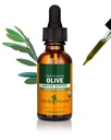 Herb Pharm Certified Organic Olive Leaf Liquid Extract pro podporu imunitního systému - 1 Ounce