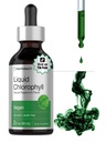 Horbäach Liquid Chlorofyl Kapky 124; 2 oz cr124; Vegan, Non- GMO, a gluten Free Formule Cr124; Natural Peppermint Flavor