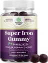 Extra síla železné gumy pro ženy a muže - Potenciál 45 mg na servírování Žvýkací doplněk pro ženy a muže s vitaminem C pro vyšší absorpci - Vegan Daily Iron Gummy No Umělé Flavors