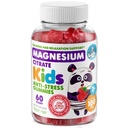 Dr. MORITZ Sugar- Free Calm Magnesium Gummies pro děti a dospělé - Non- GMO Kids Magnesium Gummies - Raspberry Flavor - 1- Pack (60 Počet)