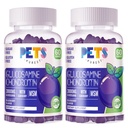 Purest Glucosamine Chondroitin Gummies s MSM & Elderberry Extra Strength - Společná podpora, Antioxidant Imunitní Supplement pro dospělé, muži a ženy. (2 Pack) Borůvka