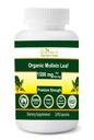 Organic Mullein Leaf 1500 mg Serving 120 Zeleninové kapsle Made in USA