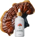Rainbo - Reishi Houba Tinktura - Dual Extract Houba Dodatek - Imunitní podpora, Mood, Spánek, Liquid Reishi Dodatek, Vegan, Non GMO, 3.4 fl oz