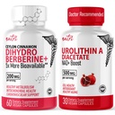 Příroda 's Fusies Nutri Dihydroberberine (60 Kapsle) & Urolithin A Diacetát 500mg Energy Booster Dodatek