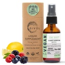 Organic ZINC Boost Mist 40 mg (Extra Strength) - Sugar Free with Vit C and Elderberry Extract - Vegan Liquid Spray for Kids and Dospělí - Easy Absorption - Non- GMO - (60 ml) 60 dní dodávky