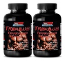 pilulky pro muže sex dlouhý a silný - TRIBULUS TERISTIS EXTRACT 1000MG - MUSCLE STRENGTH, mužské posílení plodnosti, mužské libido pilulky, mužské sexuální pilulky, mužské vylepšení, výdrž booster, 2B 120 Tablety