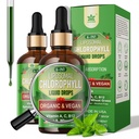 Organické chlorofyl kapalné kapky Liposomal pro ženy a muže, 6- in-1 Zelené Superfood Vegan Chlorofyll w / Spirulina, pšeničná tráva, Vitamin C B12 A pro vnitřní deodorant *, Energie, Digestive, 2Packs / 4 Fl Oz