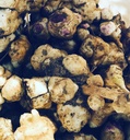 Organic Jerusalem Artichode Tubers (Helianthus tuberosus) - Slunečnice, slunečnice nebo Jerusalem Artyčoky pro sázení nebo stravování - 5 Tubers by Smoke Camp Crafts