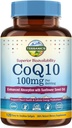 Terranics CoQ10 100mg, 120 Softgels, Absorpce s extra panenským olivovým olejem, Heart Health & Energy Production
