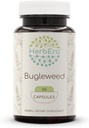 HerbEra Bugleweed 60 kapslí, 400 mg, Made with Bugleweed (Lycopus Virginicus) Sušený Herb (60 kapslí)
