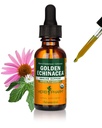 Herb Pharm Certified Organic Golden Echinacea Liquid Extract pro podporu imunitního systému - 1 Ounce (DGOLDEN01)