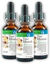Morter Trace Minerály v koloidní suspenze (3 Pack) Morter HealthSystem Best Process Alkalin - Nutrient Dense Trace Elements, Fulvic Minerals & Amino Acids