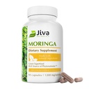 Jiva Botanicals Moringa Listy Extract Kapsle - Vyrobeno z Moringa Leaf Powder a Oleifera dodatek pro imunitní a normální společnou podporu - 90 Kapsle (Balení po 1)