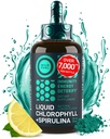 Tekutý chlorofyl Kapky se Spirulina pro vodu - Full Strength Energy, Wellness, Imunitní Supplement - 50mg Chlorofyl Liquid, 12.5mg Spirulina - Lemon Flavor Detox Drink - 2oz, 118 Servings