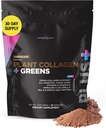 Livingood Daily Plant Collagen + Green Powder, Chocolate, 5-in-1 Kolagen Podpora s Pea Protein, Amino Acids, Spirulina, Chlorella & Vitamin C, Vlasové kožní nehty Podpora, Vegan, 30 Služeb