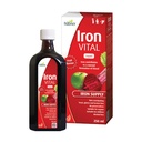 Hübner Železo Vital Liquid Iron Supply Plus Vitamin C, Dietní dodatek pro dospělé a děti, Vegan a gluten- Free, Ovoce Flavor, 250 ml Lahev, 25 Služeb