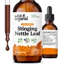 Wild & Organic String Nettle Leaf Extract Drops - Podpora močových cest - Liquid String Nettle Supplement - Urtica Dioica Tincture - 2-Month Supply - Vegan, Sugar & Alcohol- Free - 2 fl oz