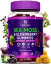 Irish Moss Gummies - Bladderwrack Burdock Root Elderberry Vitamin C & Zinc - 60 Vegan Seamoss Gummy Bears pro dospělé děti ženy - Multiminerální Elderberry Vitamíny