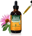 Herb Pharm Certified Organic Golden Echinacea Liquid Extract pro podporu imunitního systému - 4 Ounce