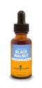 Herb Pharm Black Walnut Liquid Extract pro čištění a detoxikaci - 1 Ounce