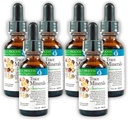 Morter Trace Minerály v koloidní suspenze (6 Pack) Morter HealthSystem Best Process Alkalin - Nutrient Dense Trace Elements, Fulvic Minerals & Amino Acids