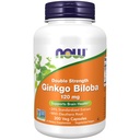 Nyní Potraviny doplňky, Ginkgo Biloba 120 mg, dvojité síly, non-GMO projekt ověřen, 100 Veg kapsle