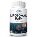 1600 mg Lipozomální NAD dodatek, 98% čistý NAD + dodatek, Superior Absorpce, Alternativa k nikotinamid Riboside nebo NADH k posílení NAD + pro stárnutí obrany, energie, dlouhověkost, 60 Softgels