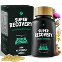 SuperBonsai Super Recovery Kapsle pro Post Celebration and Morning Relief - Všechny přírodní holistické podpory - 3 Kapsle před pitím a volitelné Serving After (14 Servings)